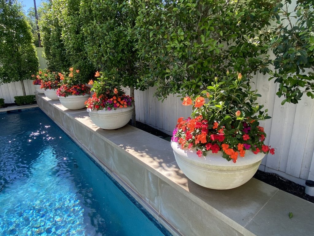 North Texas Pool Landscaping Ideas For This Summer Min.2210071250460 